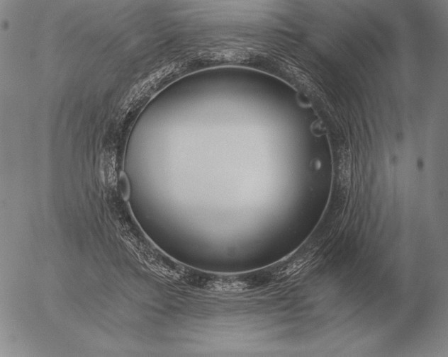 X0000056030403200509021827