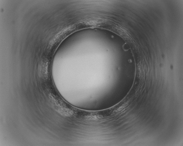 X0000056030404200509021827