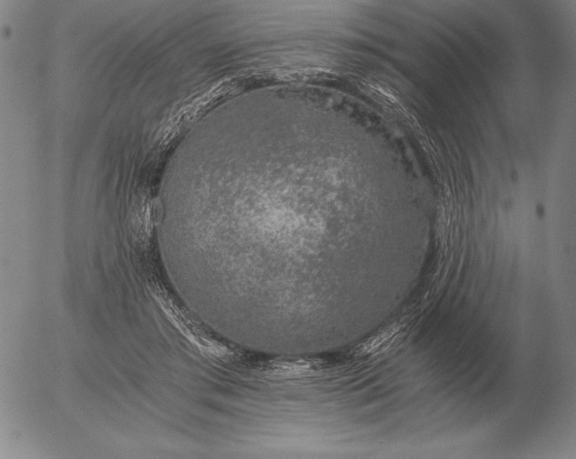 X0000056030405200509021827