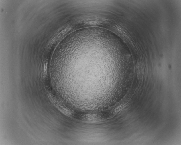 X0000056030406200509021827