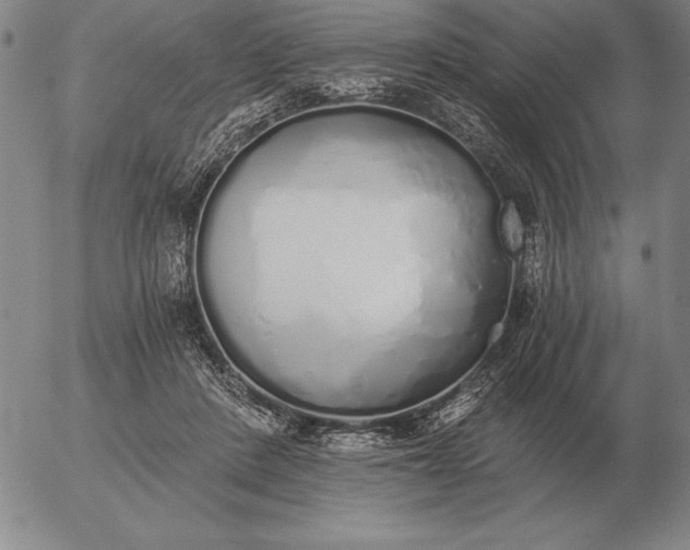 X0000056030408200509021827