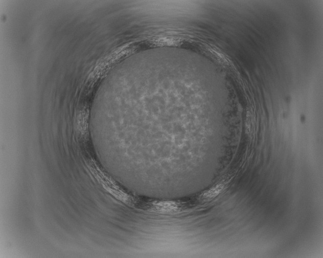 X0000056030409200509021827