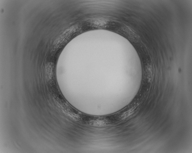 X0000056030412200509021827