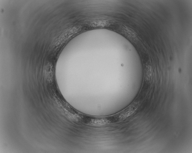 X0000056030414200509021827