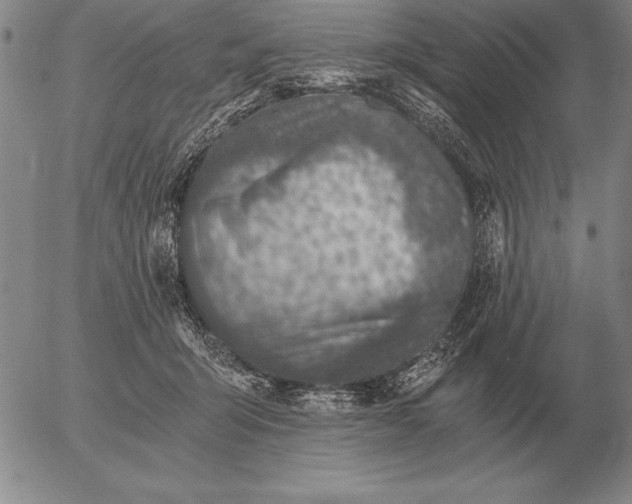 X0000056030415200509021827