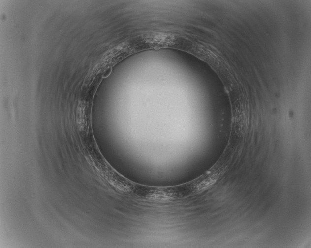 X0000056030416200509021827