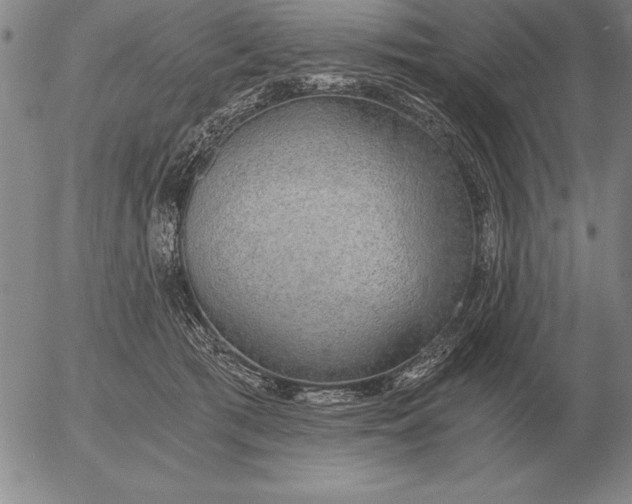 X0000056030417200509021827