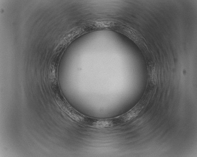 X0000056030418200509021827