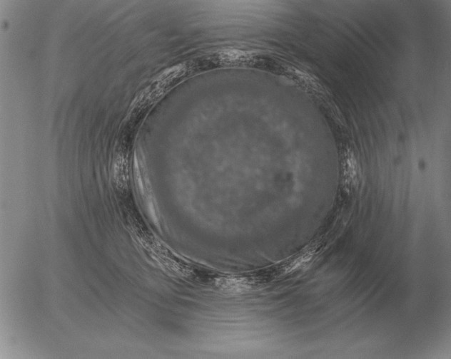 X0000056030419200509021827