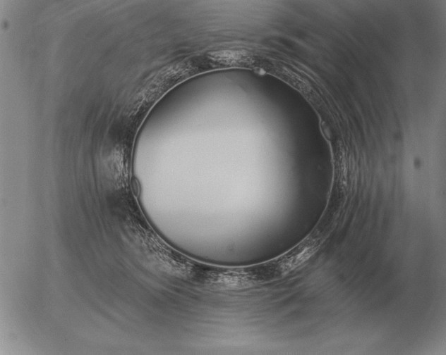 X0000056030420200509021827