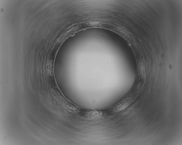 X0000056030421200509021827