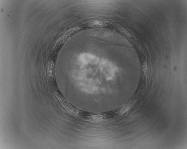 X0000056030423200509021827