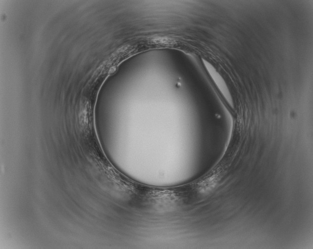 X0000056030424200509021827