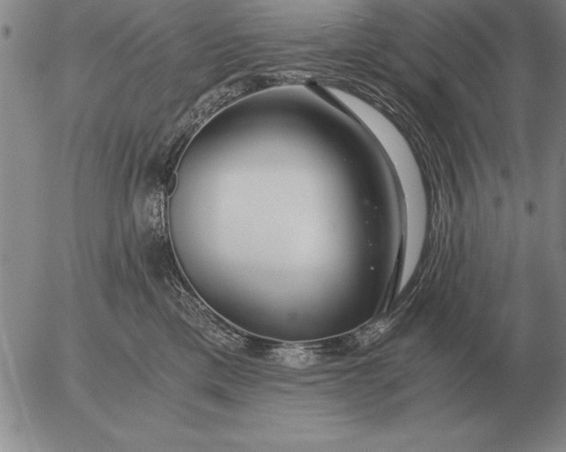 X0000056030425200509021827