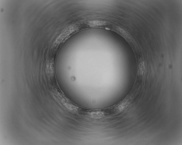 X0000056030426200509021827