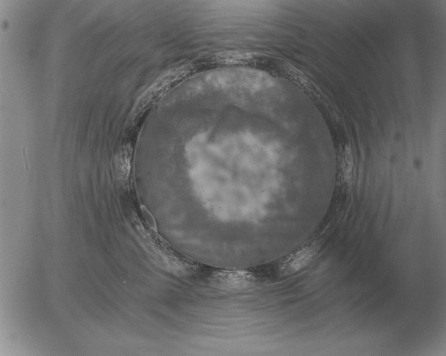 X0000056030427200509021827