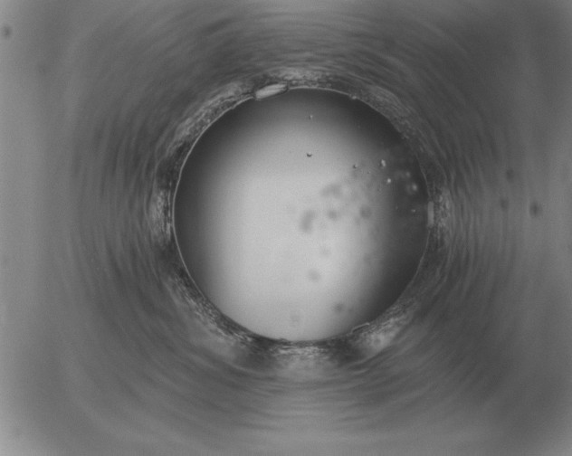 X0000056030428200509021826