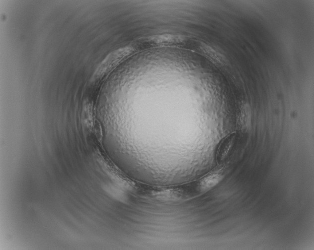 X0000056030430200509021826