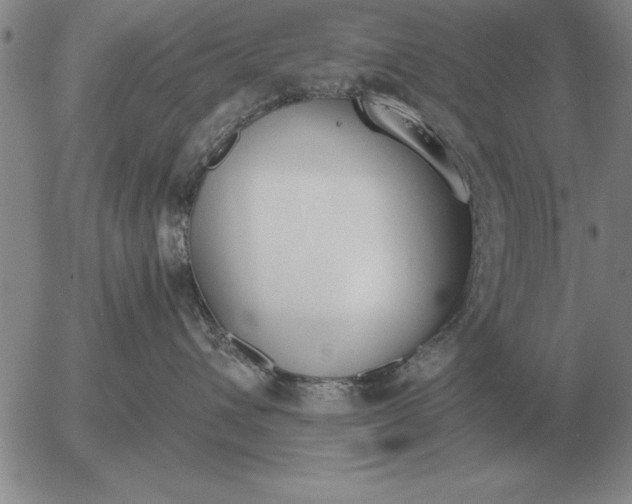 X0000056030432200509021826