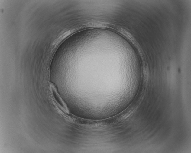 X0000056030433200509021826