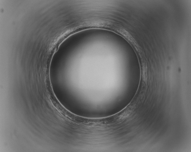 X0000056030434200509021826