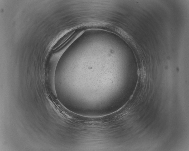 X0000056030436200509021826