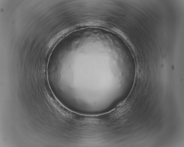 X0000056030437200509021826