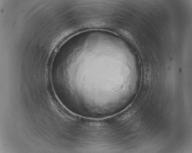 X0000056030439200509021826