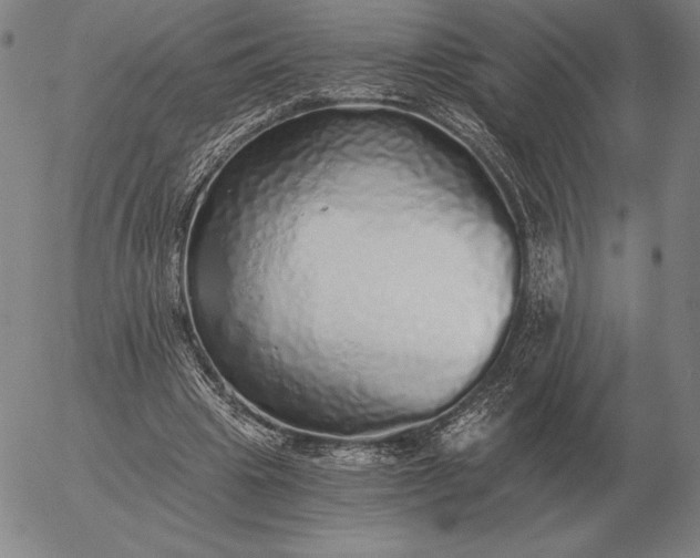 X0000056030441200509021826