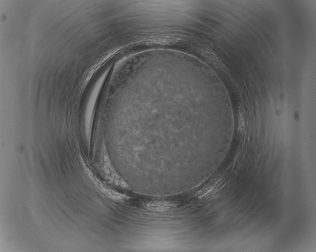 X0000056030444200509021826