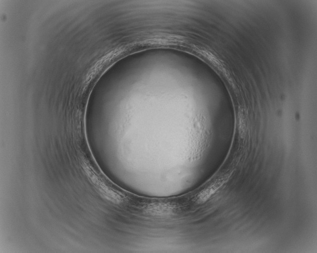 X0000056030445200509021826