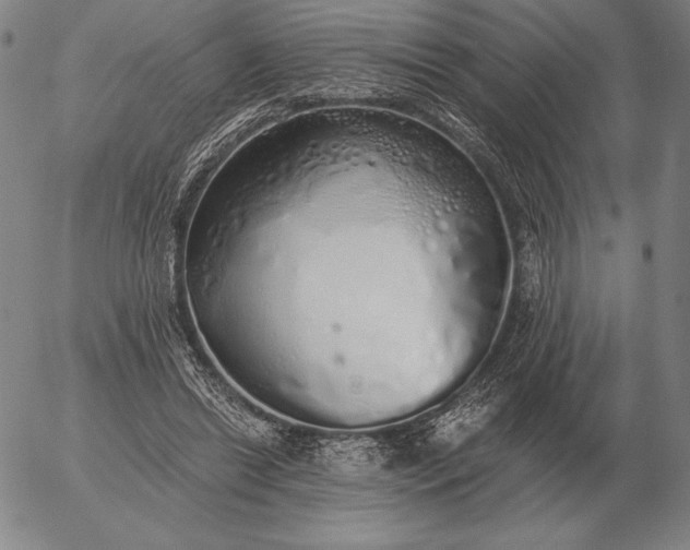 X0000056030446200509021826