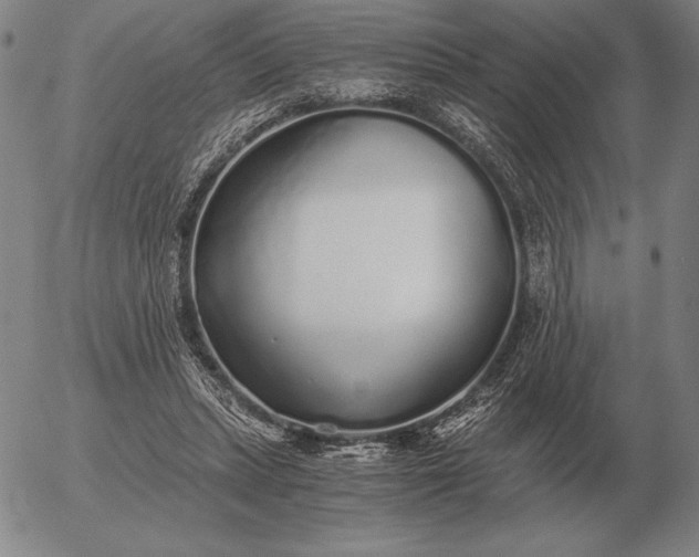 X0000056030447200509021826