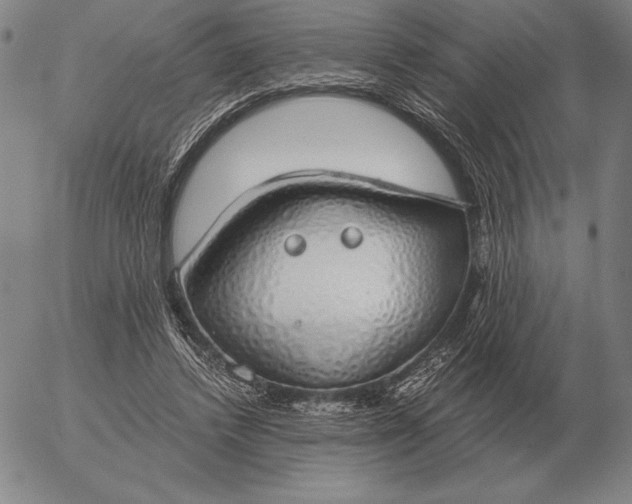 X0000056030448200509021826