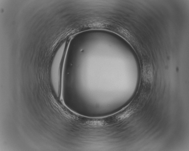 X0000056030449200509021826