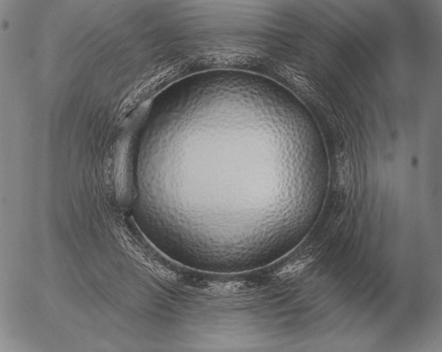 X0000056030450200509021826