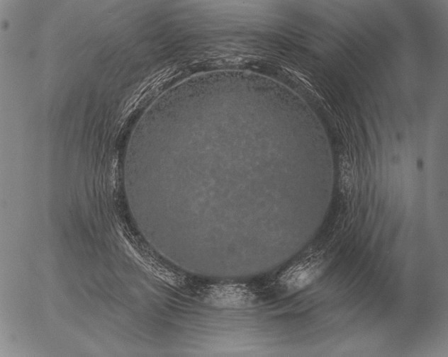 X0000056030451200509021826