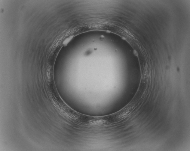 X0000056030452200509021826