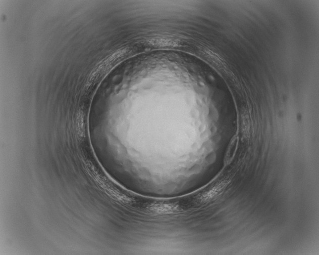 X0000056030453200509021826