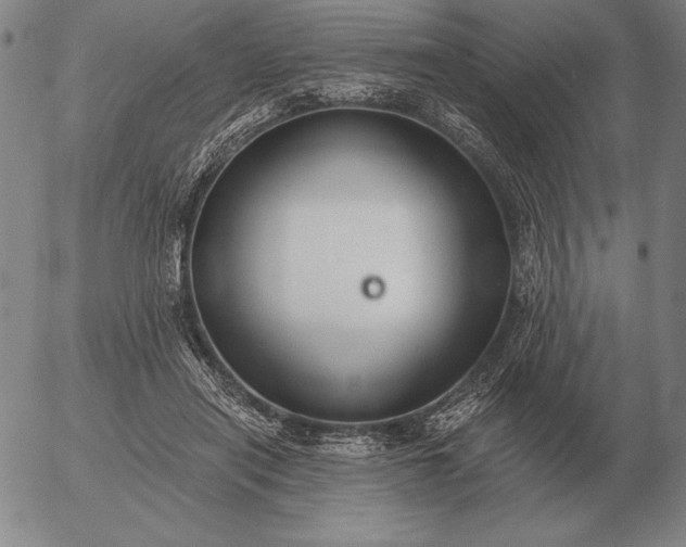 X0000056030454200509021826