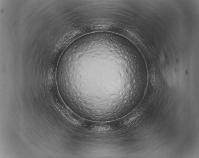 X0000056030455200509021826