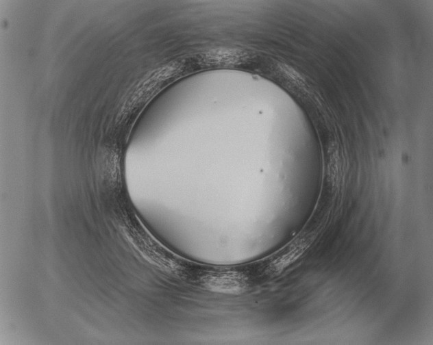 X0000056030459200509021826