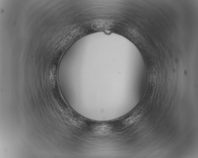 X0000056030460200509021826