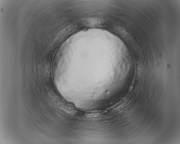 X0000056030461200509021826