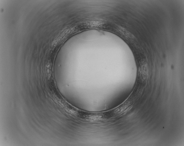 X0000056030462200509021826