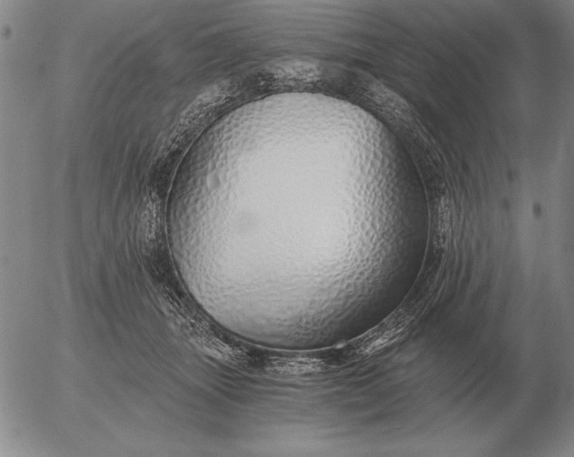 X0000056030463200509021826