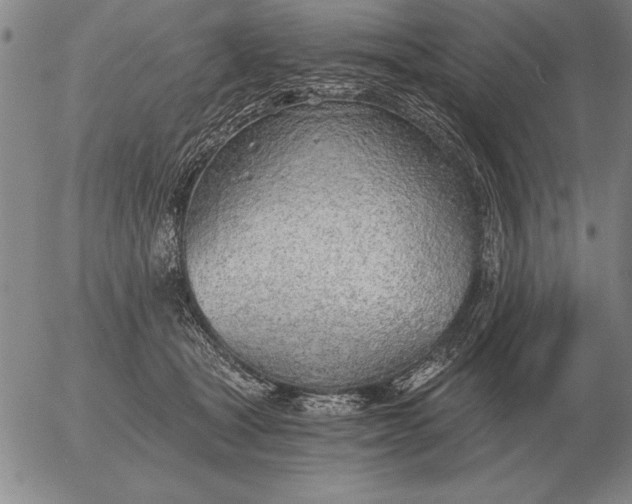 X0000056030465200509021826