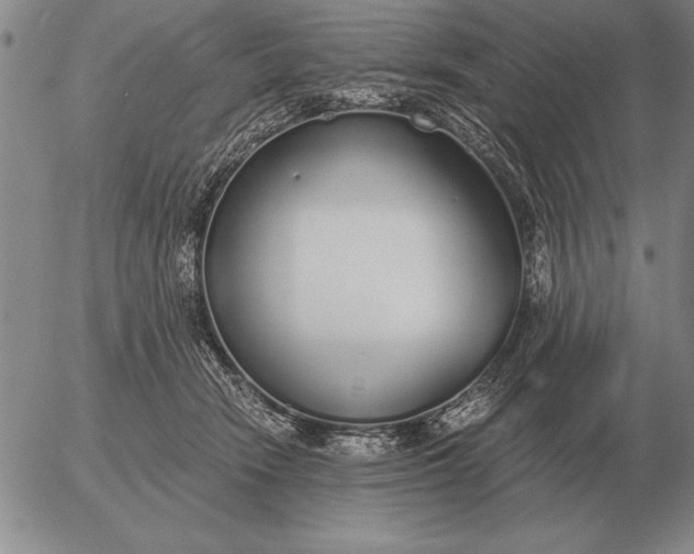 X0000056030466200509021826