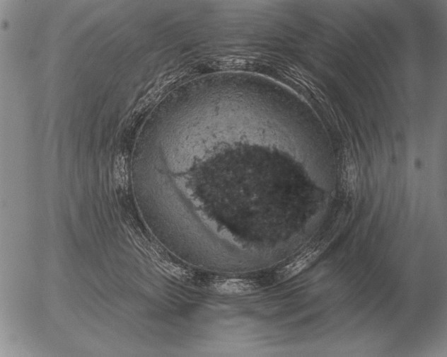 X0000056030467200509021826