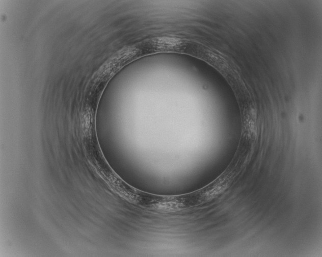 X0000056030468200509021826